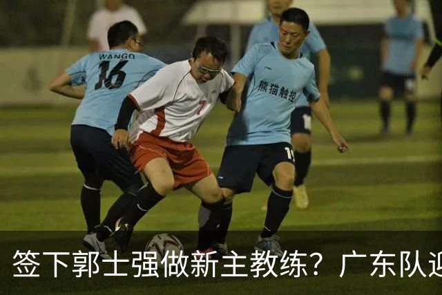 签下郭士强做新主教练？广东队迎来换帅机会，杜锋有望执教国家队
